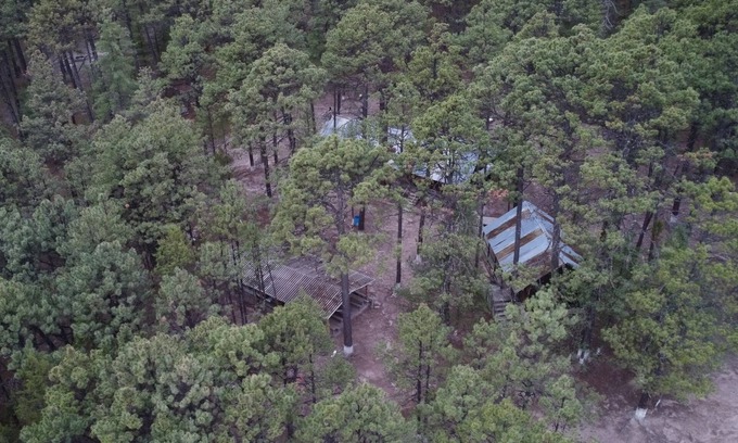 Creel Cabaña | CABAÑAS BATOSARACHI
