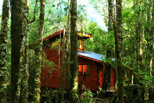 Panguipulli Cabina | Cabañas Bosque Milenario