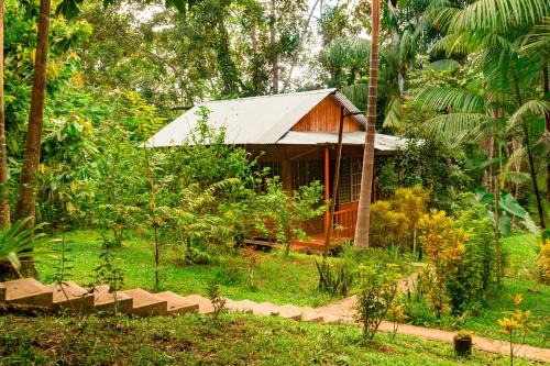 Puerto Narino Apartamento | Cabañas Dechi