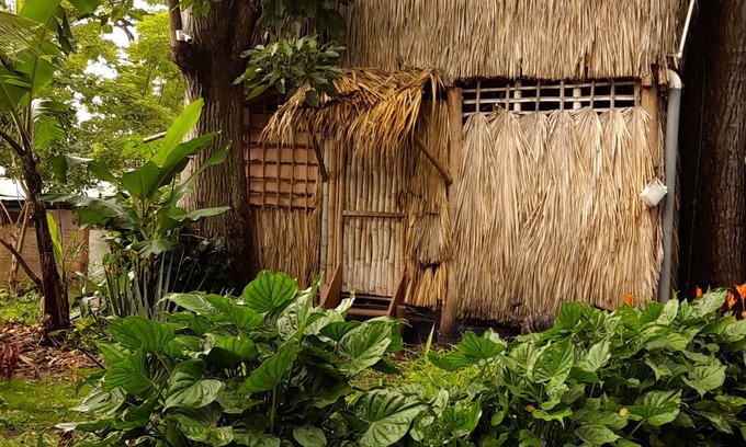 Balgue Cabina | Cabañas El Bamboo