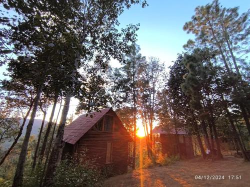 San Jose del Pacifico Chalet De Esquí | Cabañas en el Bosque de San José del Pacífico 5