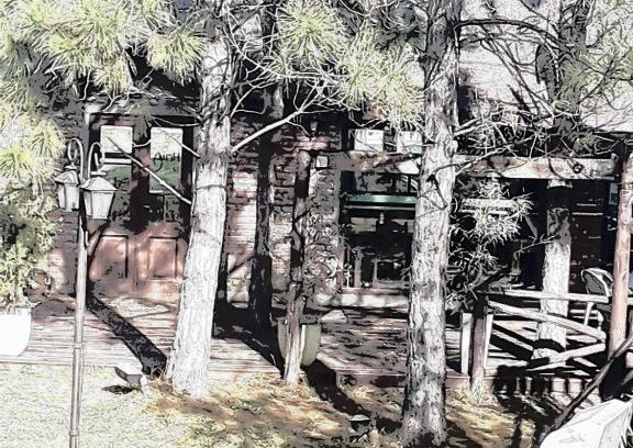 Partido de Chascomús Cabina | Cabañas Hoja de la Tierra