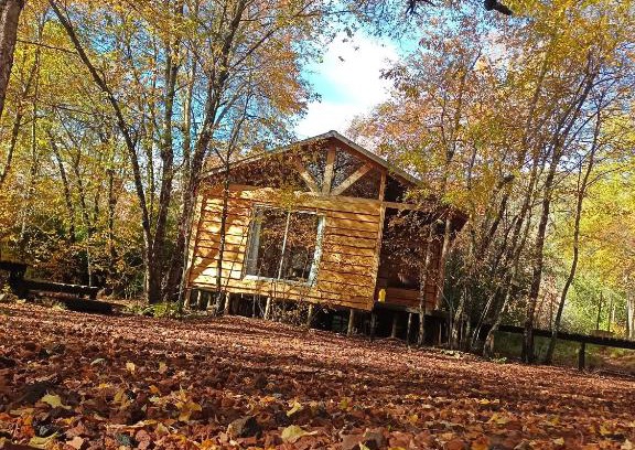 Pinto Chalet De Esquí | Cabañas Huilipan