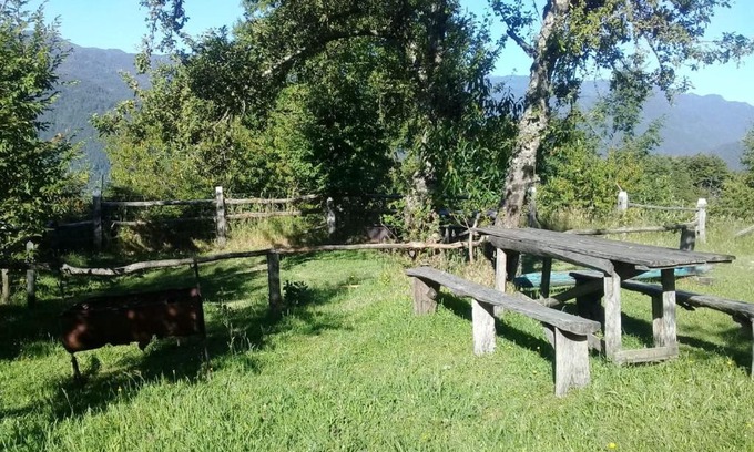Panguipulli Casa | Cabañas liquiñe Alto