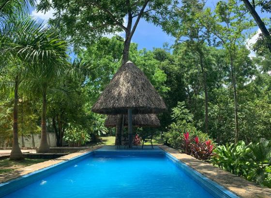 Palenque Casa | Cabañas Maya Rue