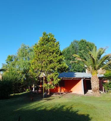 Rama Caída Casa | Cabañas Nono Mario