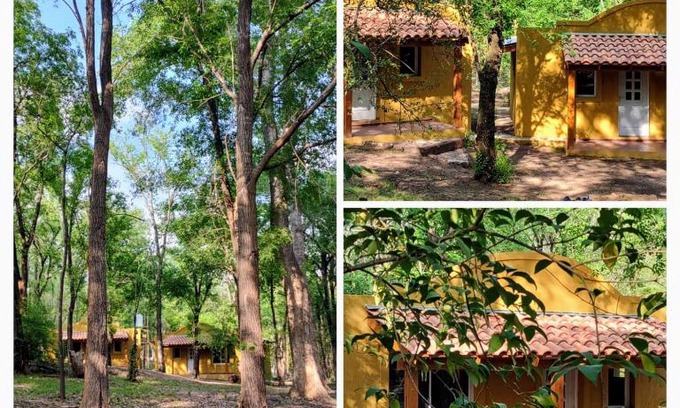 Casa Grande Casa | Cabañas Nueve Alamos