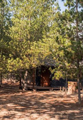 Algarrobo Apartamento | cabañas riveras rentals