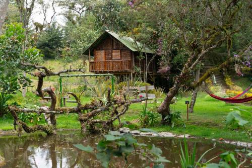 San Pedro Otro | Cabañas Rusticas El Viejo Tambo