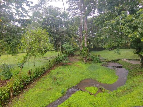 Bijagua Apartamento | Cabañita Cerro Azul