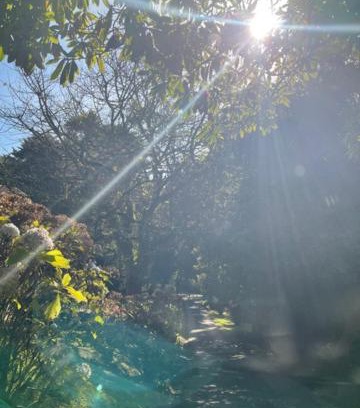 Campos do Jordao Chalet De Esquí | Cabana Austríaca no Vale Encantado