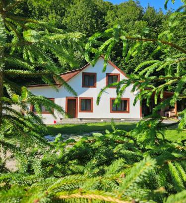 Budureasa Casa | Cabana Cezar