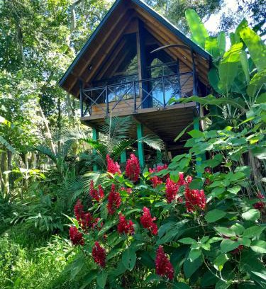 Imarui Chalet De Esquí | Cabana com Cachoeira Privativa