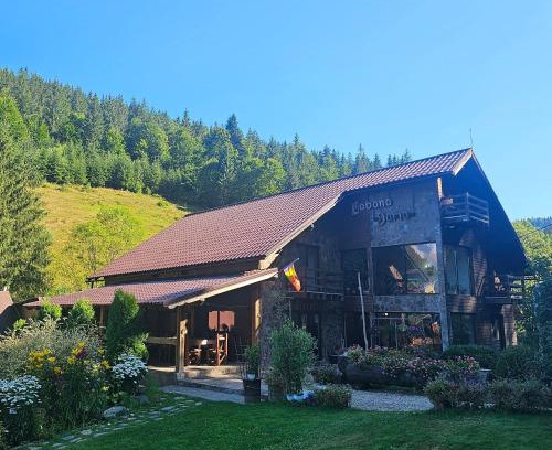 Arieseni Casa | Cabana Daria