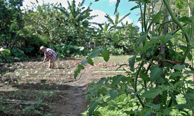 Puerto Esperanza Casa | Cabana del Sol - Ecological Farm