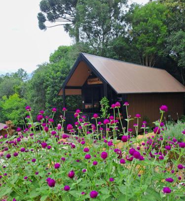 Treze Tilias Chalet De Esquí | Cabana do Mato Waldhütte