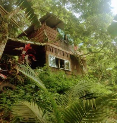 Trindade Cabina | Cabana Ecológica Trindade Paraty