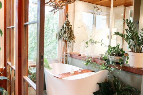 Itaipava Chalet De Esquí | Cabana Manjericão I Ofurô, Sauna e Lareira em Camboriú
