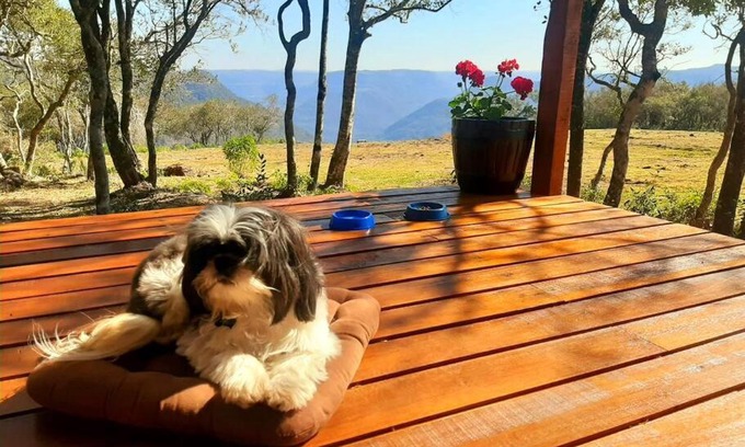 Nova Petropolis Casa | Cabana no alto do morro