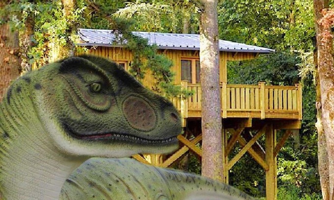 Lavaurette Cabina | Cabane Perchée Jurassic, Unique en France, Atypique, Insolite!