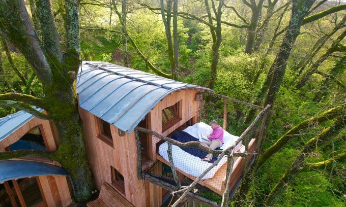 L'Isle-Bouzon Chalet De Esquí | Cabane perchée Les Cabanes de Fallot - sauna bain-froid piscine naturelle