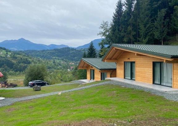 Borsa Casa | Cabanele Olena