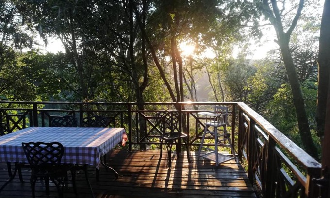 Hilton Cama Y Desayuno | Cabbage Tree Cottage