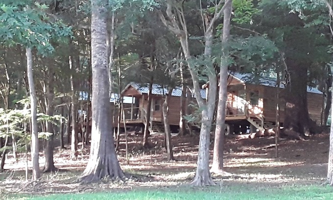 Fort White Cabina | Cabin 2 Bowman's Landing on Santa Fe River