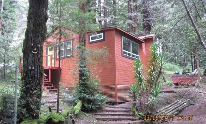 Camp Meeker Cabina | Escapada de cabina, rodeado de bosque, relajante, occidental Ca