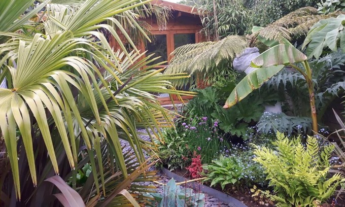 Hatherton Cabina | cabin set in a beautiful romantic tropical garden