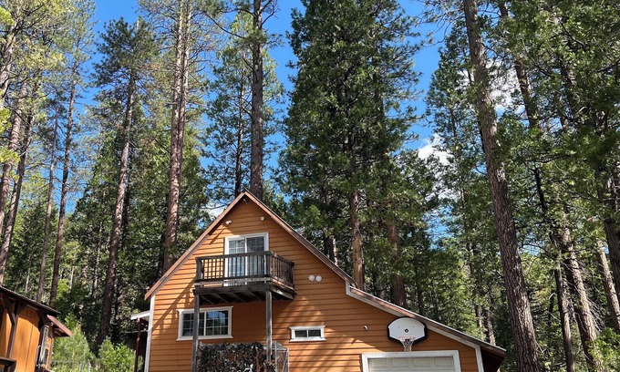 Kyburz Cabina | Cabin surrounded of beautiful nature for creating memories w/family or friends.