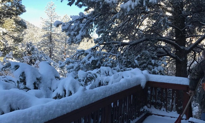 Pine Mountain Club Cabina | CABIN SWEET CABIN - ¡Ven a disfrutar de nuestra acogedora cabaña en el bosque #CabinLife!