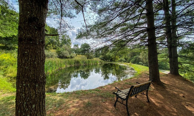 Logan Cabina | Hermosa cabaña con estanque de pesca en las colinas de Hocking