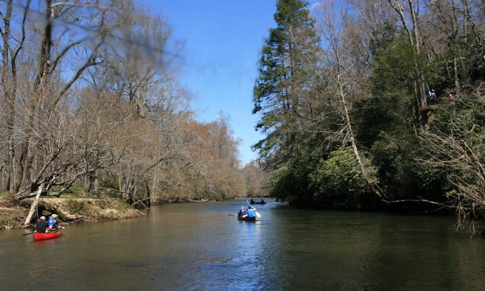Brevard Cabina | Cabin with two trout rivers onsite. Brevard and Pisgah National Forest close by.