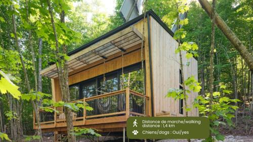 Eastman Casa | Cabin Zoobox 69