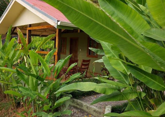 Ballena Apartamento | Cabina Rancho la Merced
