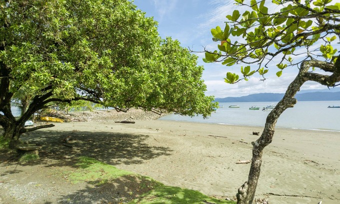 Puerto Jiménez Cama Y Desayuno | Cabinas Agua Luna Frente al Mar