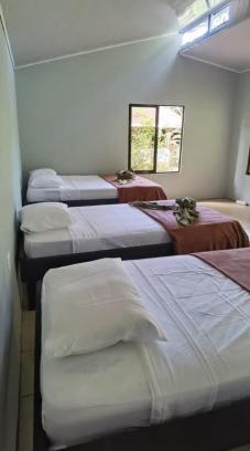 Los Planes Cama Y Desayuno | Cabinas Corcovado Green Parrot, Los Planes Drake