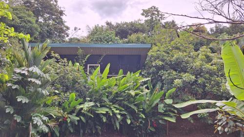 Dominical Apartamento | Cabinas fave