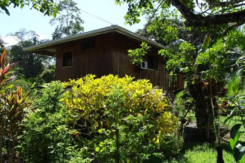 Cahuita Cabina | Cabinas Los Tucanes