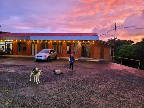 Santa Elena Apartamento | Cabinas Selva Verde