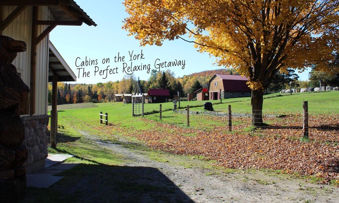 Hastings Highlands Cabina | Cabins on the York - Loon Cabin #1