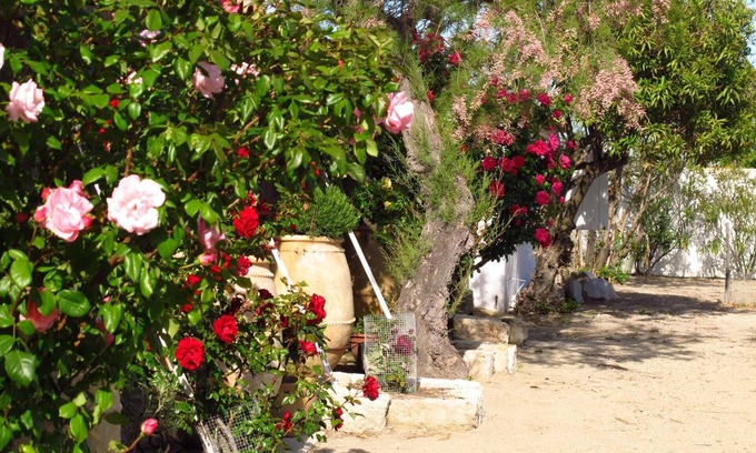Saintes-Maries-de-la-Mer Hotel | Cacharel