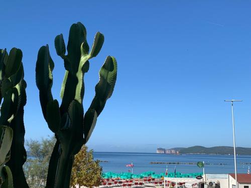 Lido Apartamento | Cactus on the beach