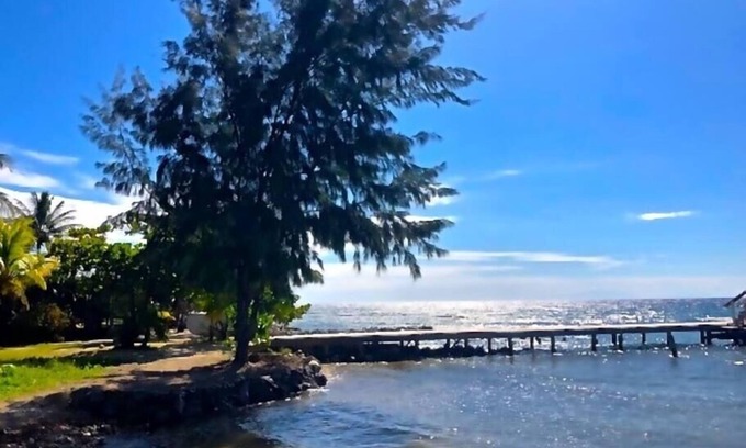 Calabash Bight Cabaña | Calabash Reef House, 2 Bedrooms- Steps To The Ocean