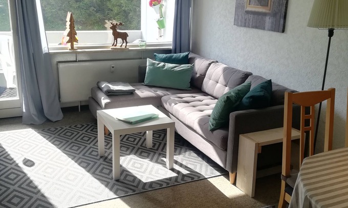 Hahnenklee Apartamento | Tranquilo. Acogedora. Soleado. Apartamento barato de 3 habitaciones