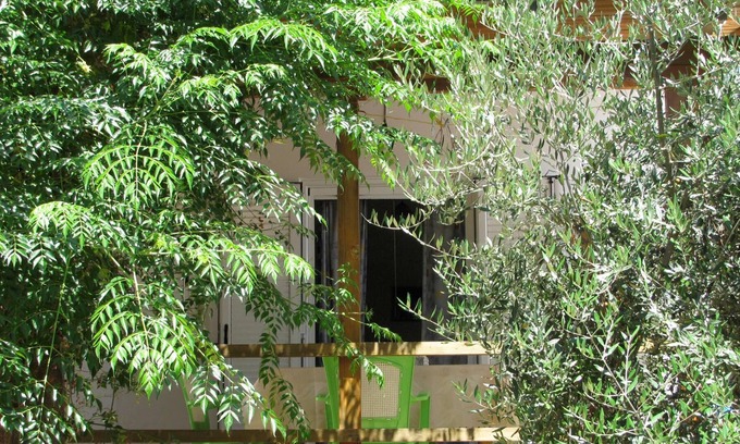 Kakovatos Casa | Tranquilo, en medio de un olivar, cerca de la playa, wifi | Casa de vacaciones Ili
