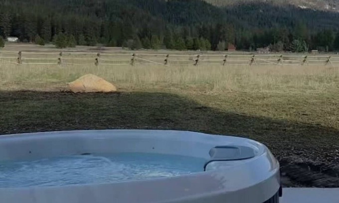 Ronan Cabina | Calowahcan Cabin *NEW hot tub*