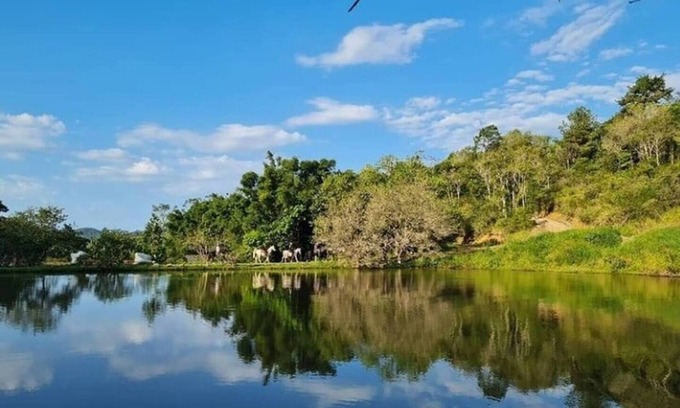 Camboriu Cabaña | Camboas Atlantic Forest Country House