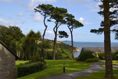 Maenporth Casa | Camellia